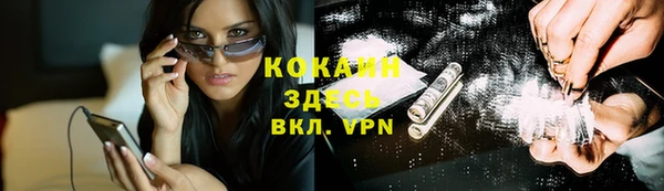 ешки Белокуриха
