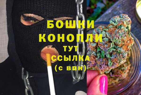 ешки Белокуриха