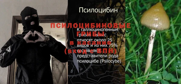 ешки Белокуриха
