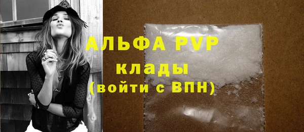 ешки Белокуриха